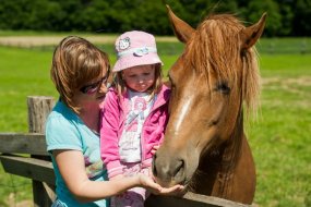 _ZVP8687 (Large).jpg