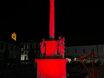 IMG_0314.jpeg