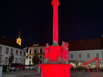 IMG_0315.jpeg