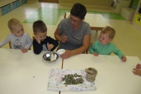 IMG_5560.JPG